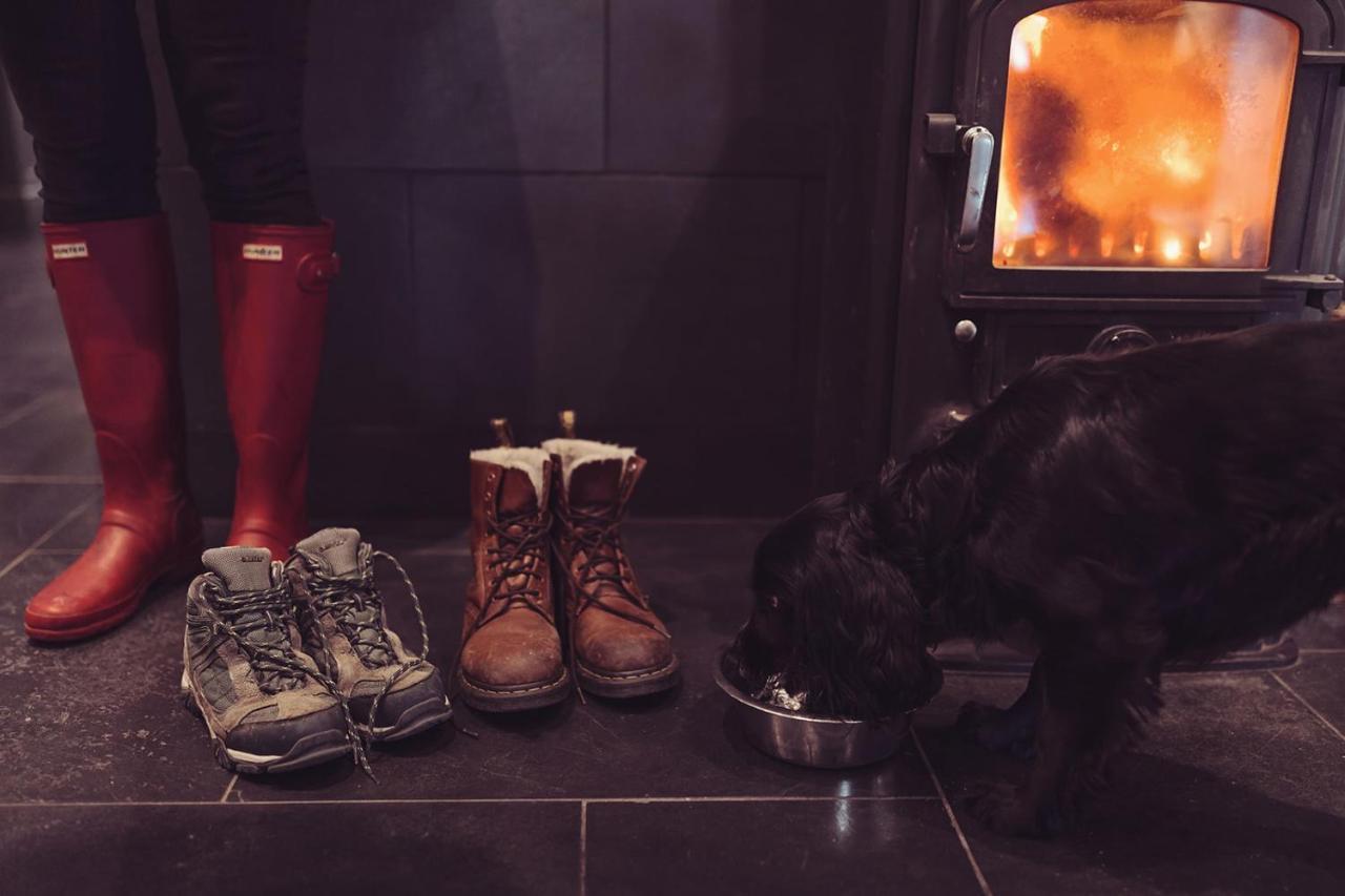 Longlands Inn & Cottages Carnforth Luaran gambar A dog in front of a wood burning stove